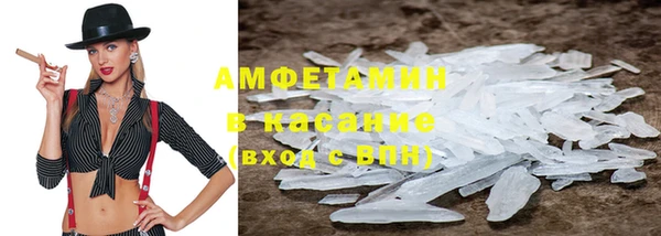 мет Алексин