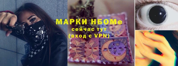 мет Алексин