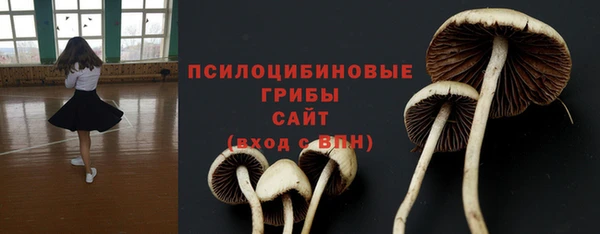 гидропоника Алзамай