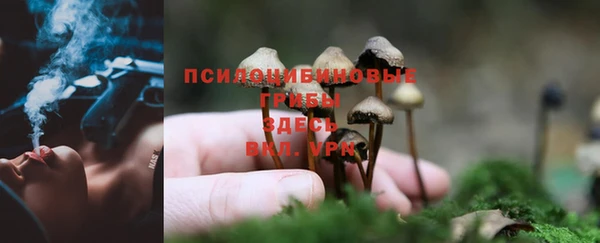 мет Алексин