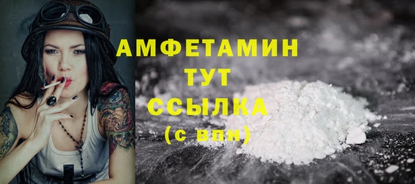 мет Алексин